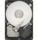 Seagate 160 GB 3.5 İNÇ 7200 RPM Digital Harddisk 