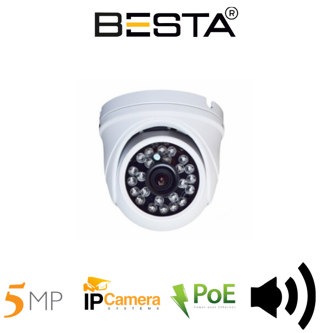 sesli ip kamera